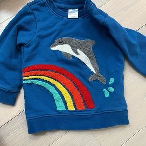 Hanna Andersson 3T sweatshirt with rainbow dolphin raised design 

GUC
